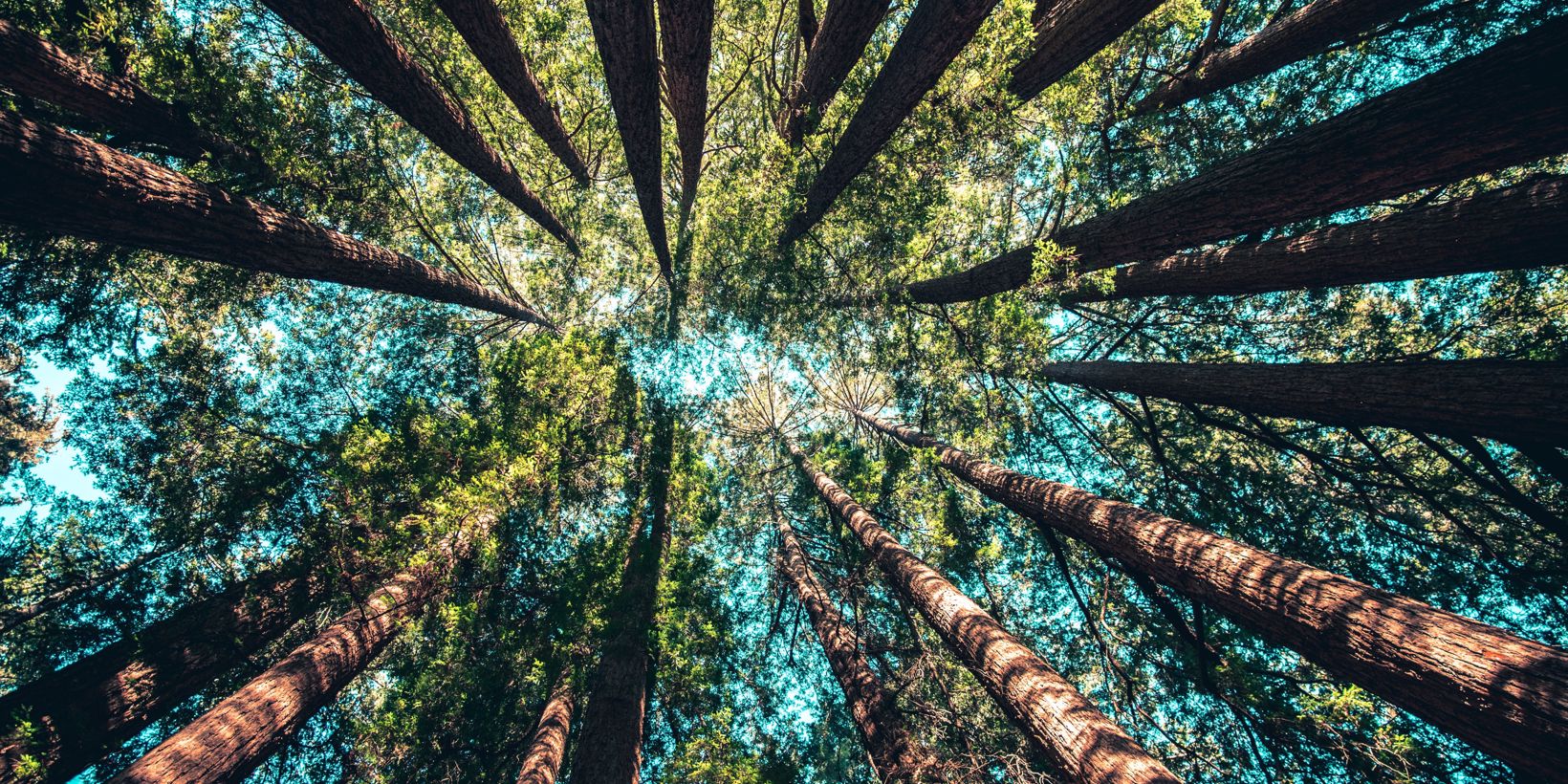 Happy Earth Day