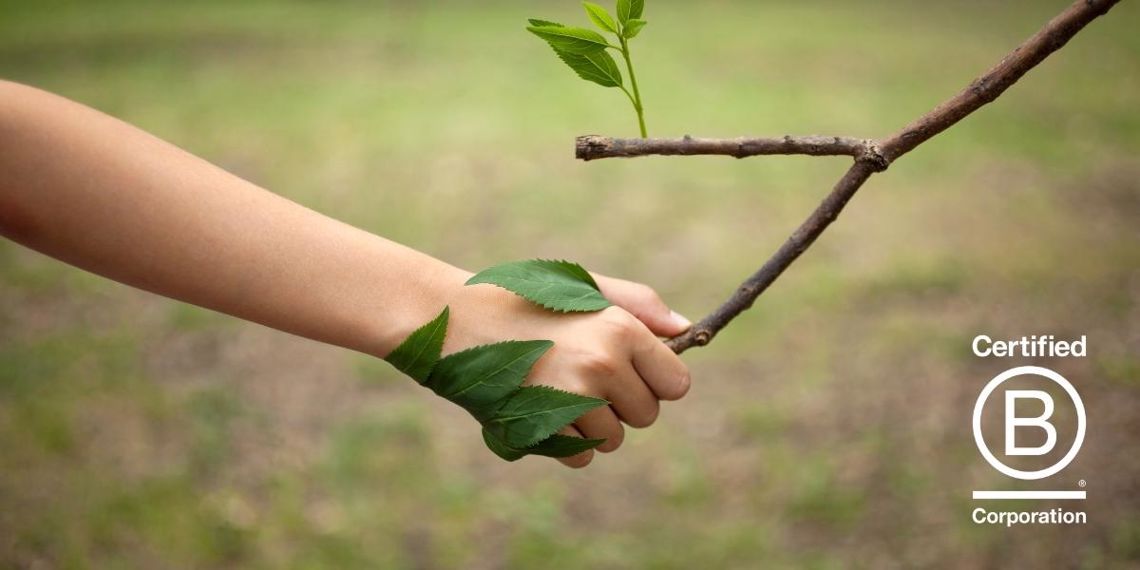 We’re a Proud B Corp, But What Does it Mean?